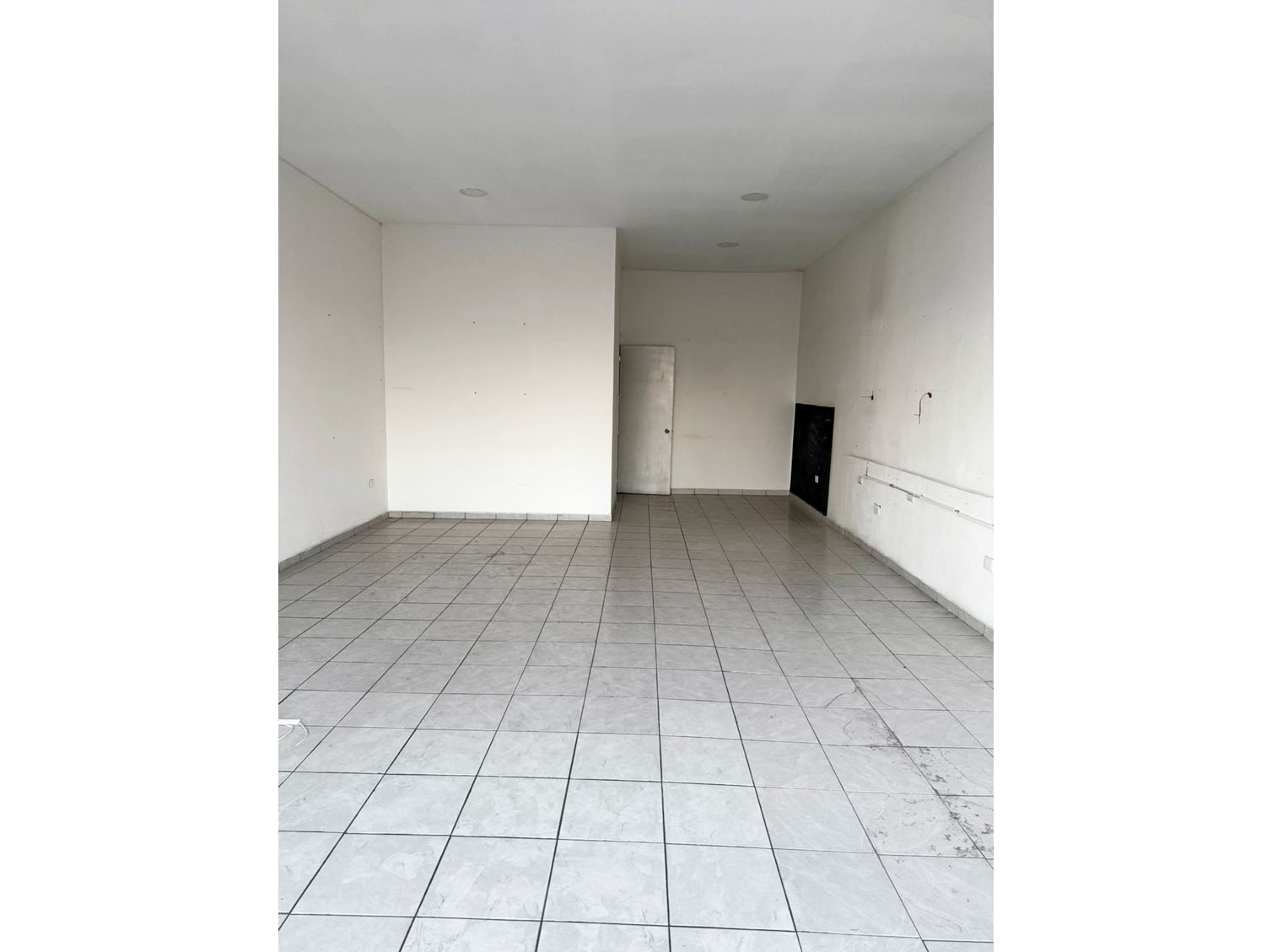 Local 36 - Interior